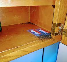 Romney pest control, charles pest control services, inc., ecoguardian pest control, mandm pest and wildlife, llc, all needs pro. Allen Pest Control Home Facebook