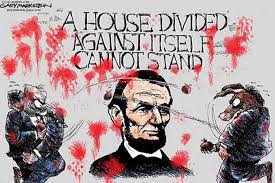 Image result for The Great political Divide in america