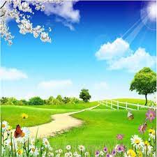 Artikel kali ini akan memaparkan semuanya dan tersedia juga wallpaper hd gambar rumput. Beibehang Besar Wallpaper Kustom Outdoor Pemandangan Langit Biru Dan Awan Putih Padang Rumput Hijau Peta Peach Butterfly Garis Custom Wallpaper Wallpaper Outdoorwallpaper Blue Sky Aliexpress