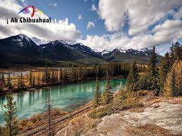 En Turismo En Chihuahua Le Invitamos A Visitar El Estado Mas Grande Del Pais 1 Parques Nacionales Parques Nacionales De Banff Chihuahua Turismo