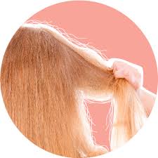 Sometimes the hair breaks off above the surface of the scalp, leaving short stubs. A Guide To Damaged Hair And 15 Ways To Fix It