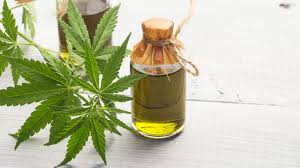 Maybe you would like to learn more about one of these? Rachel Ray Talks Cbd Holden Farms
