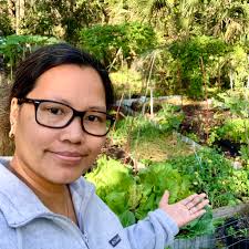 Someone stole my corn from the garden