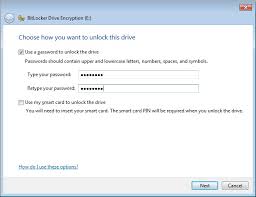 It will prompt you to choose how you want to unlock this drive. Hci Computer Information Bl2g