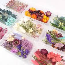 Maybe you would like to learn more about one of these? Home Arts Crafts 1 Box Bulk Dried Flowers Plants Diy Epoxy Candle Aromatherapy Filling Materials Floral Crafts