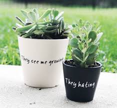 Shop flower pots and personalize your home with pottery barn® today. Funny Planter Flower Pot With Saying Outdoor Planters Pot They See Me Growing Flower Pot Gift For Gardener Pl Planter Pots Outdoor Funny Planters Plant Pot Diy