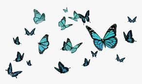 Blue Borboletas Butterfly Png For Editing Transparent Png Kindpng Butterfly png collections download alot of images for butterfly download free with high quality for designers. blue borboletas butterfly png for