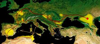 Migration of middle asian tribes ile ilgili görsel sonucu