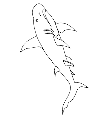 Free printable shark coloring pages for kids. Top 20 Shark Coloring Pages For Your Little Ones