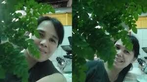 1] malunggay leaves are a lot more nutritious than most other foods. How To Peel Malunggay Fruit