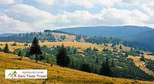 Verificati cu atentie causa de email, inclusiv in dosarele spam / junk. Cazare Paltinis Munte Romania Rezerva Online Cazare Paltinis