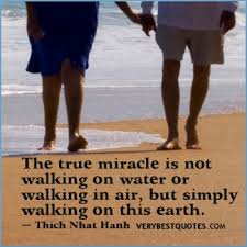 Image result for Journal of Alternative and Complementary Medicine show that going barefoot reduces your excess charge
