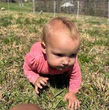 Bre j giving Steve a peace offering before he gets to be 7 ft tall and 200  lbs 💪🏻