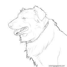40+ wolf coloring pages realistic for printing and coloring. Free German Shepherd Printable Coloring Pages German Shepherd Coloring Pages Coloring Pages For Kids And Adults