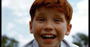 the passionate moviegoer: connections: eddie hodges → ronny howard ronny  howard ← paul ford → eddie hodges