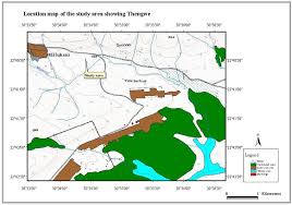 Image result for Brackenridgea zanguebarica