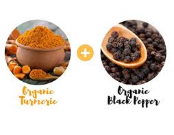 How to grow turmeric, the impressive plant that gives us a wonderful spice. Turmeric Projects Photos Videos Logos Illustrations And Branding On Behance