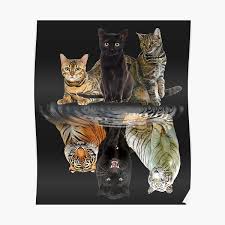 Explore flying tiger shadow's (@flying_tiger_shadow) posts on pholder | see more posts from u/flying_tiger_shadow about starcitizen, aww and christmas. Big Cats Posters Redbubble