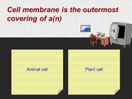 Maybe you would like to learn more about one of these? The Investigator Cells Functions Of Organelles It S A Robbery Crime Scene Do Not Cross Crime Scene Do Not Cross Crime Scene Do Not Cross Crime Scene Ppt Download