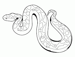 You might also be interested in coloring pages from rattlesnake category. Cool Snakes Coloring Pages Coloring Home