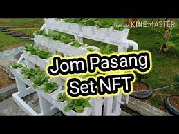 Diy Hidroponik Nft Youtube
