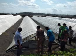 Maybe you would like to learn more about one of these? Pemerintah Kabupaten Purworejo