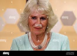 Ospedale reale di brisbane immagini e fotografie stock ad alta risoluzione 