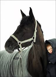 Ustalost Fotografii Aleksandr Kochetov Konniki Equestrian Ru
