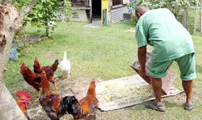 The ulu kinta mental hospital or hospital bahagia is the oldest mental hospital in malaysia. Sejarah Hospital Mental Tertua Di Malaysia Hospital Bahagia Tanjung Rambutan Iluminasi