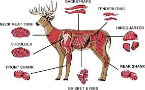 Deer Exotic Meat Processing Texas Wild Game Processing