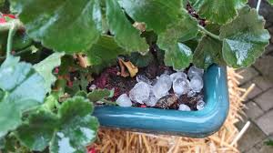 Kezdőoldal » admira » lecsap a vihar, brutális jégeső jön! Hatalmas Jegeso Kapta El Herenyt Tegnap H Plusz