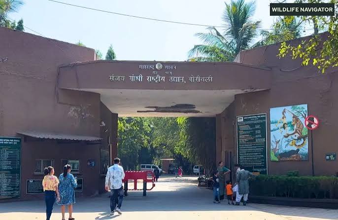 Sanjay Gandhi National Park - Flora, Fauna & More - WILDLIFE NAVIGATOR