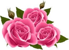 3 964 transparent png of flower. Pink Rose Hd Png