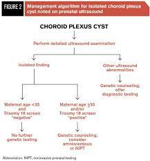 Isolated Fetal Choroid Plexus Cysts
