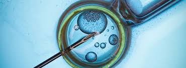 Atat celulele stem hematopoietice cat si celulele stem mezenchimale se ce boli vindeca celulele stem in mod normal in maduva osoasa a organismului uman, unde interactioneaza complex, pentru a asigura aportul normal si constant de celule mature ale sangelui prin procesul. Cum AratÄ Viitorul Fiv In Care InteligenÈa ArtificialÄ Èi Celulele Stem Vor Invinge Infertilitatea Acibadem Healthcare Services