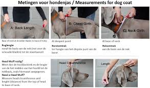 This is where you will get the chest at its deepest. How To Measure Your Dog Purrfect Design
