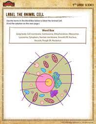 Check spelling or type a new query. Label The Animal Cell 4th Grade Science Worksheet Sod