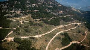 Campgrounds And Accomodations: Millet Museum