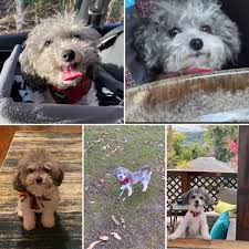 Caleb Feigles (@calebfeigles) • Instagram photos and videos