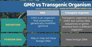 Maybe you would like to learn more about one of these? Difference Between Gmo And Transgenic Organism Compare The Difference Between Similar Terms