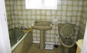 The 1970s killed green bathrooms. What Do You Call It The Toilet Census Forum Asexual Visibility And Education Network
