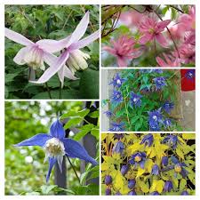 Maybe you would like to learn more about one of these? Madras Garden Depot Serving All Of Central Oregon S Gardening Needs