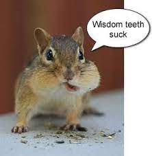 Pin On Dental Humor