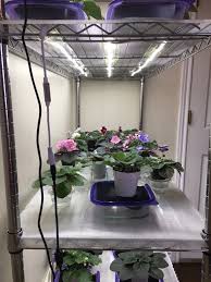 Fluorescent grow lights are perfect choice for house plants and especially seedlings. How To Grow Plants With Led Lights African Violet Light Stand Grow Lights For Plants Diy Plant Stand Indoor Grow Lights