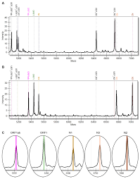 It is subdivided into 100 bani on 1 july 2005, romania underwent a currency reform, switching from the previous leu (rol) to a new leu (ron). Viruses Free Full Text Detection Of Severe Acute Respiratory Syndrome Coronavirus 2 Sars Cov 2 By Mass Spectrometry Html