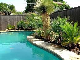 Astounding Backyard Landscaping Ideas Around Pool In 2020 Tropical Backyard Landscaping Backyard Pool Landscaping Tropical Backyard