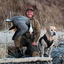 Sc boys are putting it to them. If you...