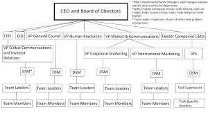 common organizational structures boundless management