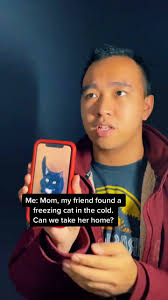 we found a freezing cat in the cold 🥶🐱 #cat #catlovers #storytime