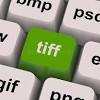 The described tiff specification is tiff 5.0. 1